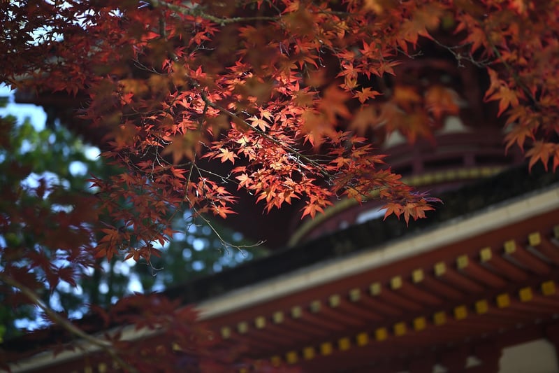 Cultural Heritage Sites