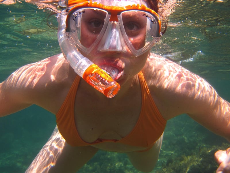 Marine Life Exploration